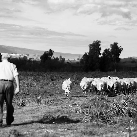 Binzas Betzas Agriturismo Sedilo エクステリア 写真