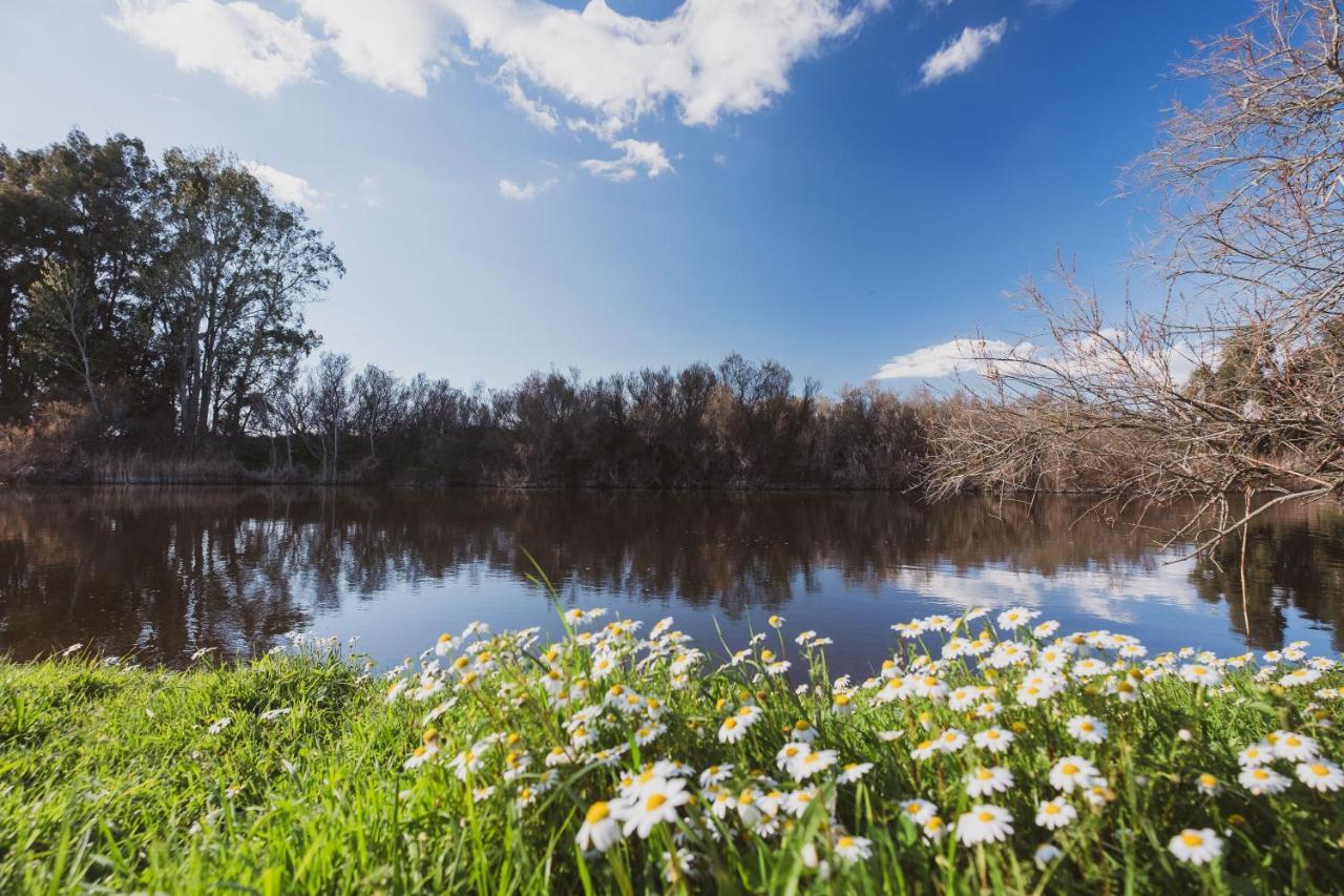 Binzas Betzas Agriturismo Sedilo エクステリア 写真