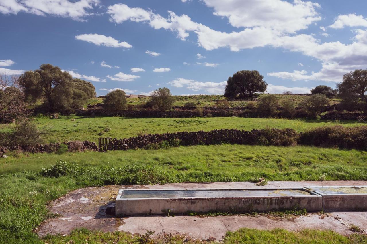 Binzas Betzas Agriturismo Sedilo エクステリア 写真