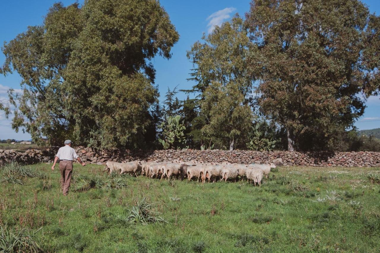 Binzas Betzas Agriturismo Sedilo エクステリア 写真
