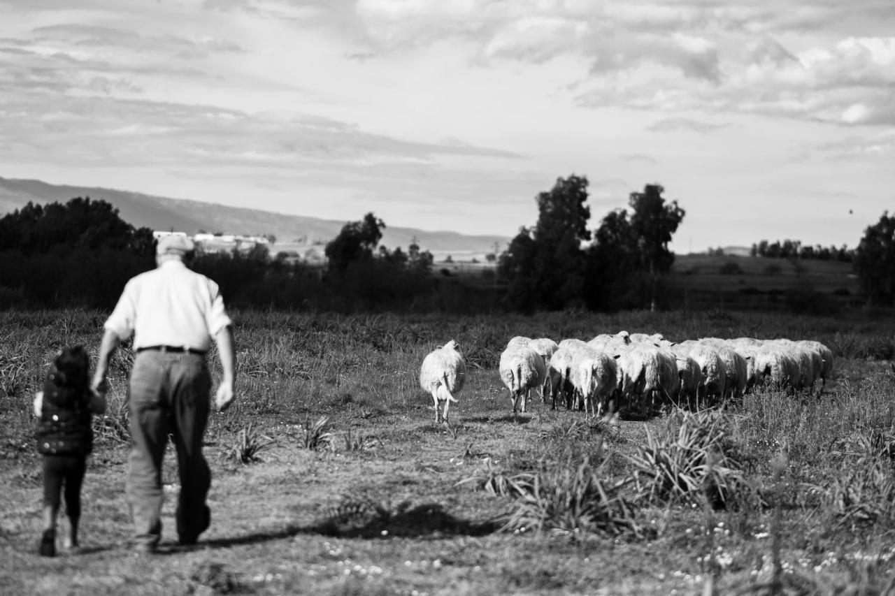 Binzas Betzas Agriturismo Sedilo エクステリア 写真