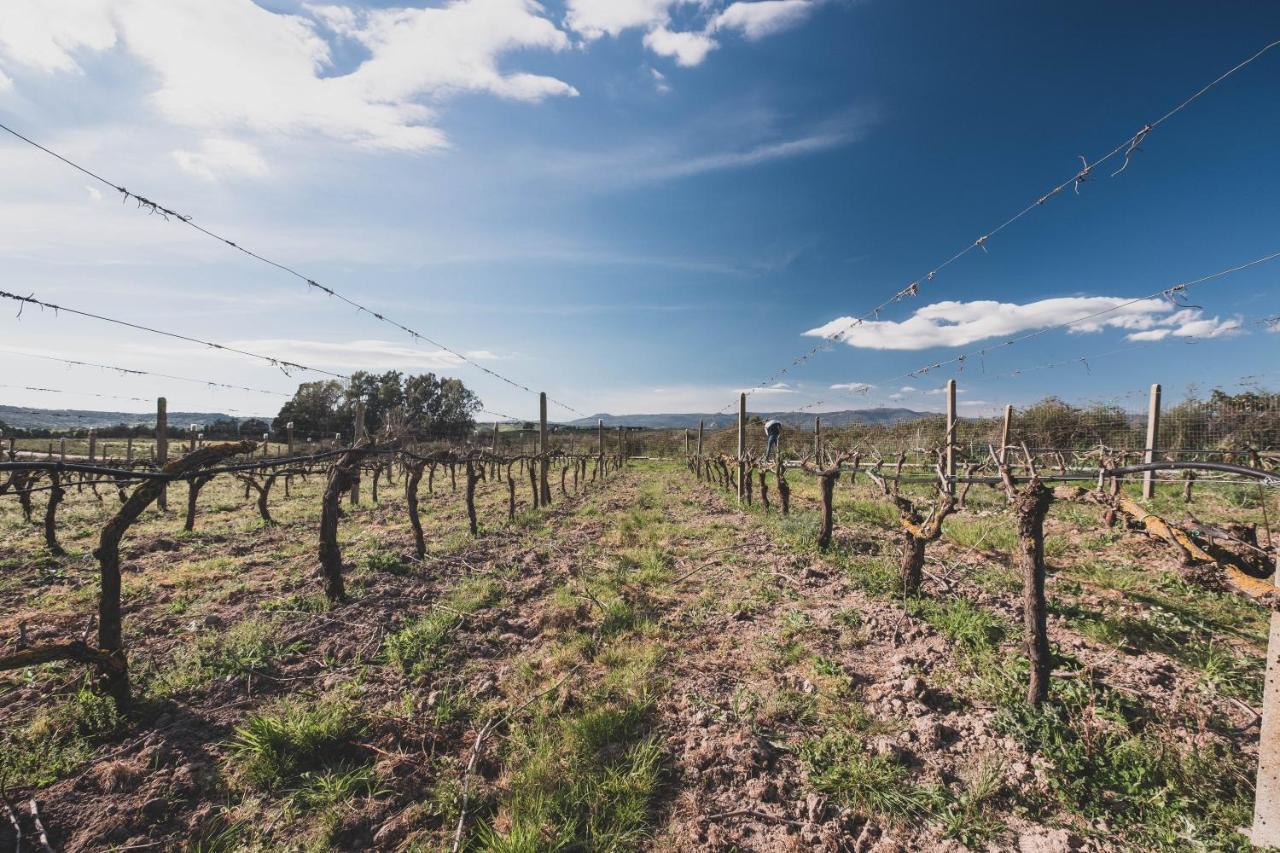 Binzas Betzas Agriturismo Sedilo エクステリア 写真